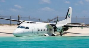 Whisk_56ee44c9e30056f89bc4d46844ebe145dr